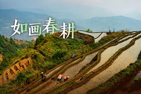 云南：别样春耕图 不负好春光