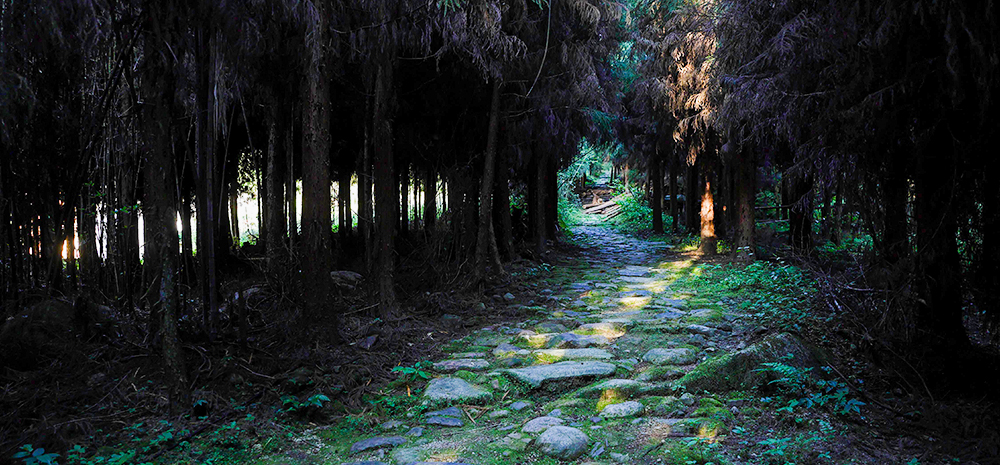 修复茶马古道
