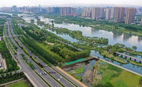 你我的绿水青山 共同的绿色家园——写给2020年六五环境日