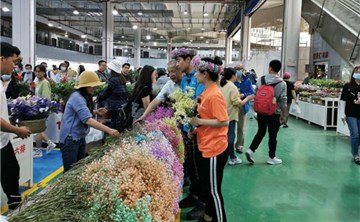 “丰收中国万里行直播活动” 在斗南花卉小镇“首播”
