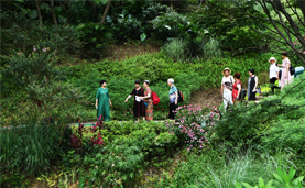 走向我们的小康生活丨从“靠山吃山”到“养山富山”——重庆缙云山的“绿色辩证法”