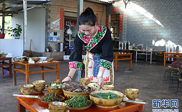 临沧镇康：红色旅游带“火”沿边村寨