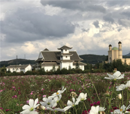 云南鲁甸桃源乡“千亩花海”引爆乡村旅游