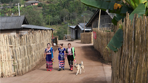 Social progress brought by poverty alleviation in Menglian