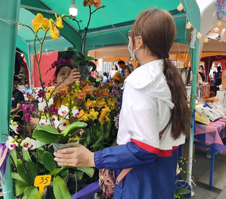 假日消费红火 “云品”备受青睐