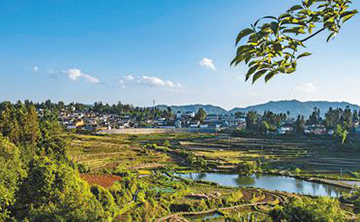 中寨司莫拉佤族村脱贫调查