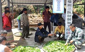 云南勐海：闯出绿色减贫之路