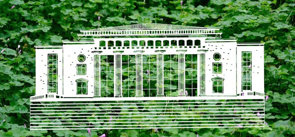 云大学生创意“剪纸” 让建筑遇见花草