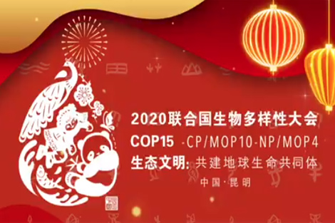 ยินดีต้อนรับเข้าร่วมการประชุมความหลากหลายทางชีวภาพแห่งสหประชาชาติ ปี 64  (COP 15) ที่นครคุนหมิง