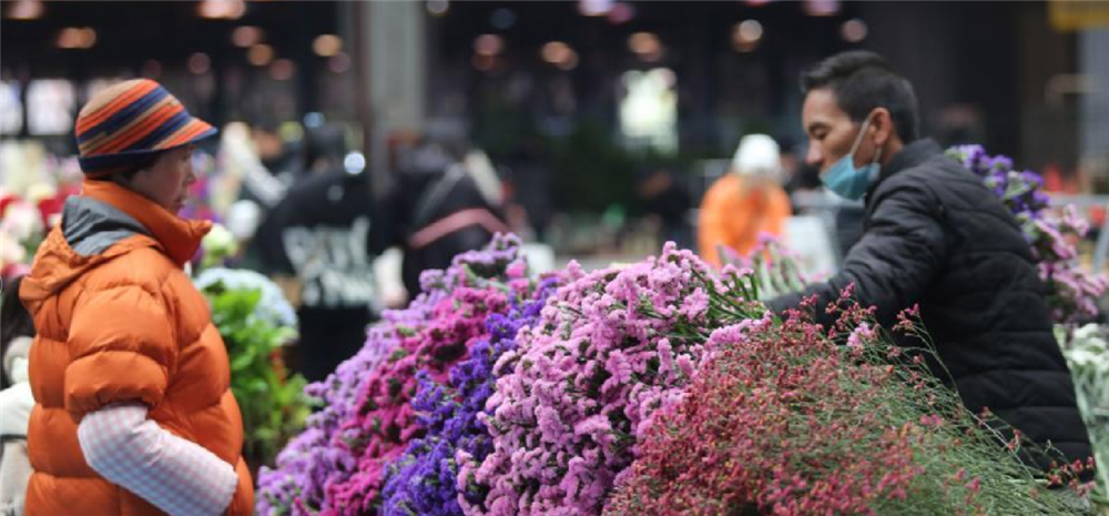 云南昆明：鲜花俏销迎春节