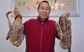“犇”向新的春天——“NEW”年感“牛”气