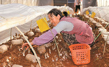 不误农时春耕忙