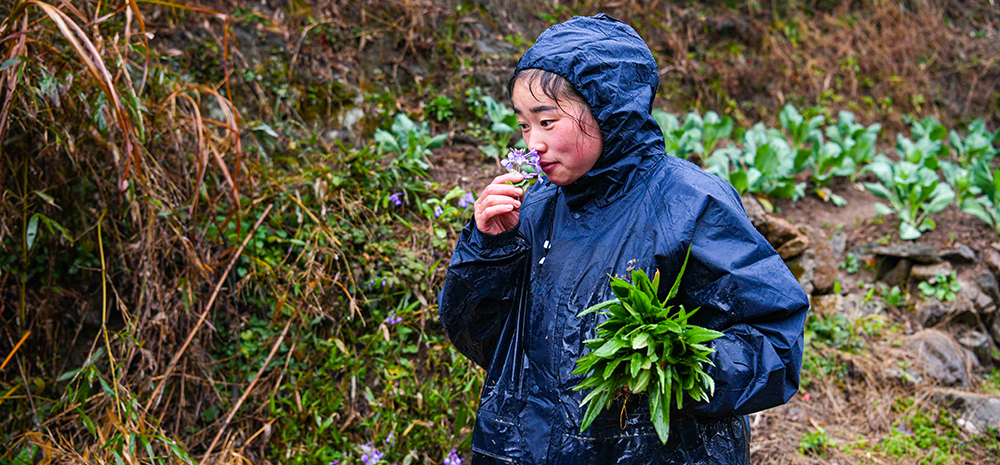 了不起的她——将致富的希望带进大山