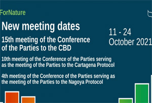 การประชุมสมัชชาภาคีอนุสัญญาว่าด้วยความหลากหลายทางชีวภาพ (CBD COP15) ณ เมืองคุนหมิง ระหว่างวันที่ 11-24 ตุลาคม