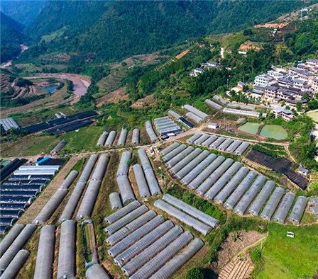 云南宁洱：发展全域旅游 描绘乡村振兴新图景