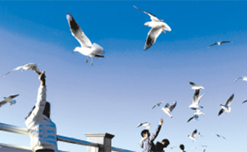 1月、2月昆明空气质量优良率100%