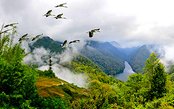 云南黄连山国家级自然保护区——生物多样性的净土