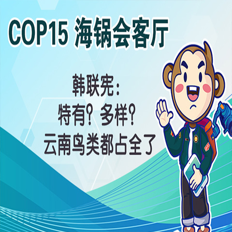 COP15海锅会客厅 | 韩联宪：特有？多样？云南鸟类都占全了