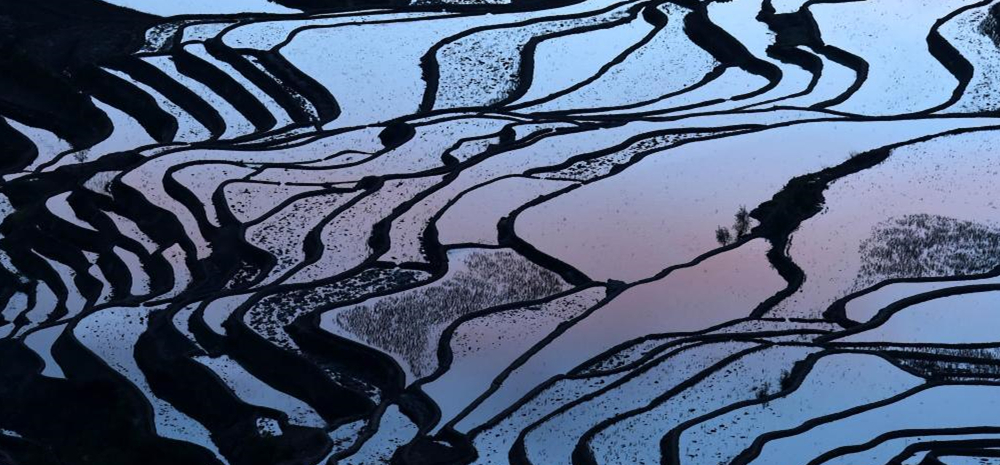 雕在大地上的诗行——世界文化遗产哈尼梯田生态故事