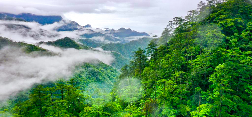 雨后武夷美