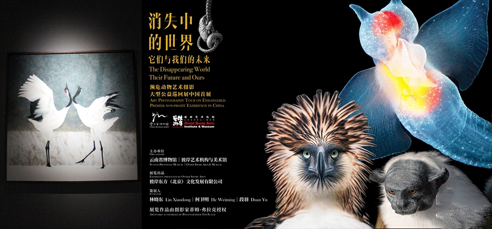 云南省博物馆展出51幅绝美“动物肖像”