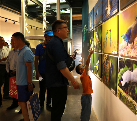 “凤翎南现”生物多样性鸟类科普主题展开展