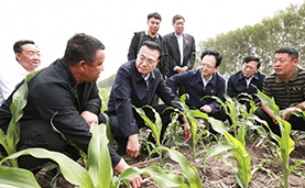 李克强：大力推进改革开放 培育壮大市场主体 推动东北全面振兴实现新突破