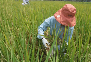  “အာကာသဆန္”၏ လကမာၻခရီးစဥ္မွ ရလဒ္မ်ားစြာ ။  ။ တ႐ုတ္ႏိုင္ငံ၏ မူရင္းဆန္းသစ္တီထြင္မႈ ျဖစ္လာလိမ့္မည္ဟု ေမွ်ာ္လင့္