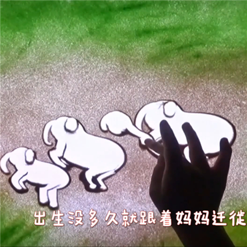 【沙画】小象“羊妞”的幸福时光