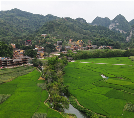 聚焦云南旅游革命“三部曲”｜文山州广南县：回到“桃花源”