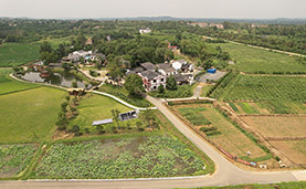 走进乡村看小康丨建好农村路 串珠促振兴