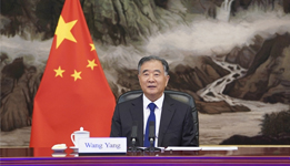 汪洋会见越南祖国阵线中央委员会主席杜文战