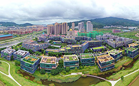 年轻人的琴澳合作新愿景
