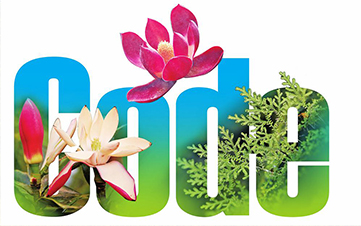 COP15·春城之邀丨生物多样性保护的科研“密码” 