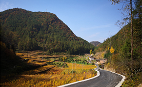 走进乡村看小康|阡陌纵横奔小康 乡村振兴在