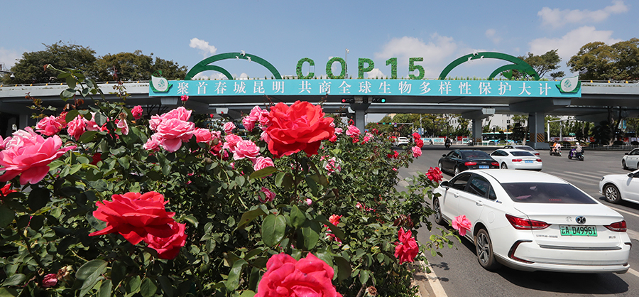 ດອກໄມ້ສົດຕ້ອນຮັບກອງປະຊຸມCOP15