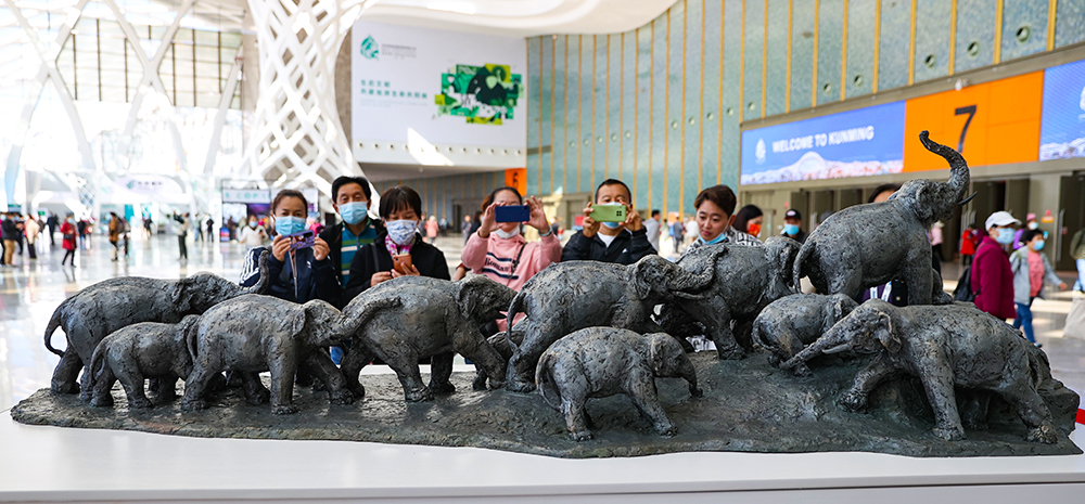 昆明：COP15会场今日起免费向公众开放