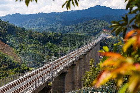 中老铁路：一条跨越山川的生态长廊