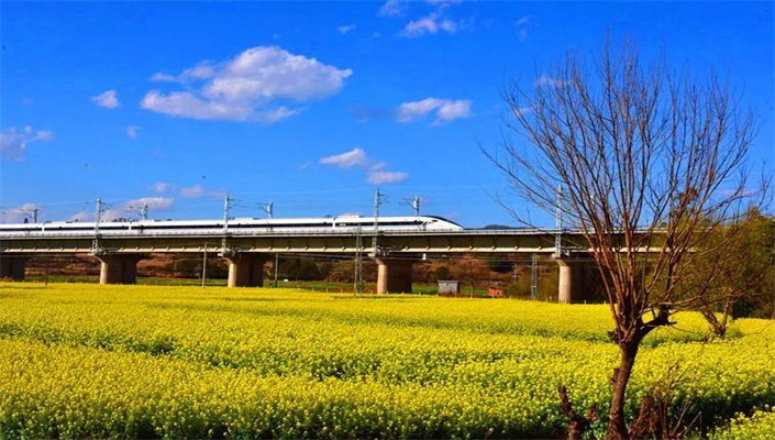 楚雄早春赏花计划可以安排起来了