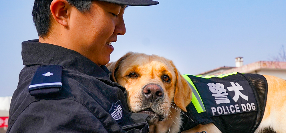 武汉警犬训练备战春运