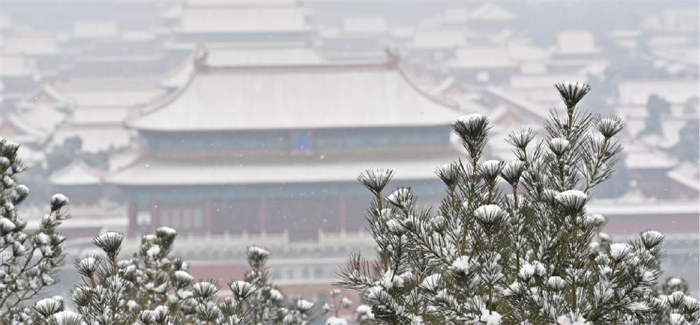 雪落京城