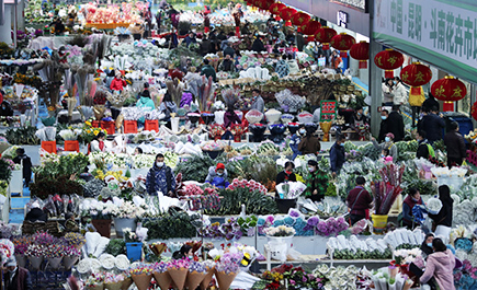 “亚洲花都”花市 迎来节后开门红