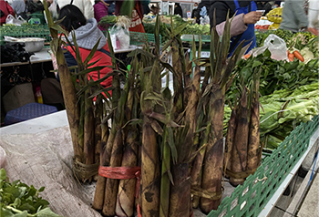Đừng lỡ rau rừng theo mùa tại Phổ Nhĩ, Vân Nam