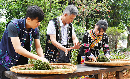 让世界共享“云南味道”——云南绿色食品产业崛起观察
