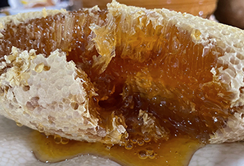 ลิ้มรสรสชาติของฤดูใบไม้ผลิผ่าน “น้ำผึ้งป่า” อันหอมหวานในหนิงเอ่อร์ยูนนาน