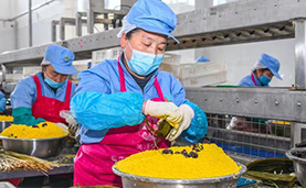 奋进新征程 建功新时代|梁山乡蝶变记