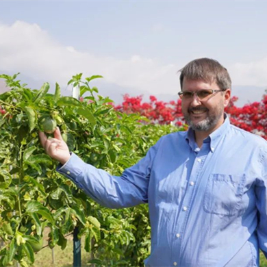 Go deep in Lijiang: American expat plants avocados