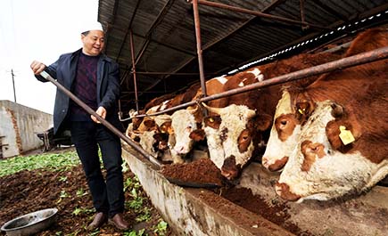 昆明市抓实“一县一业”示范创建，助推农业产业转型升级——<br>把小特产变成大产业
