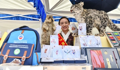 Cultural and creative products fair held in Xizang Museum