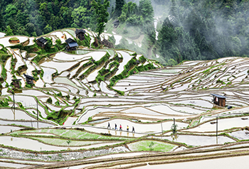 จีนมีมรดกวัฒนธรรมด้านการเกษตรสำคัญระดับโลกเพิ่มขึ้น 18 รายการ ครองอันดับ 1 ของโลก